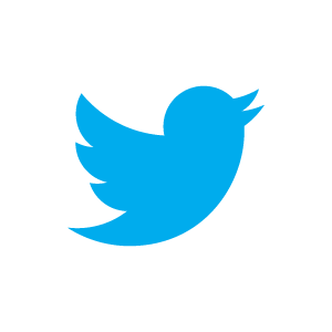 Twitter bird image
